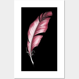 Red feather Posters and Art